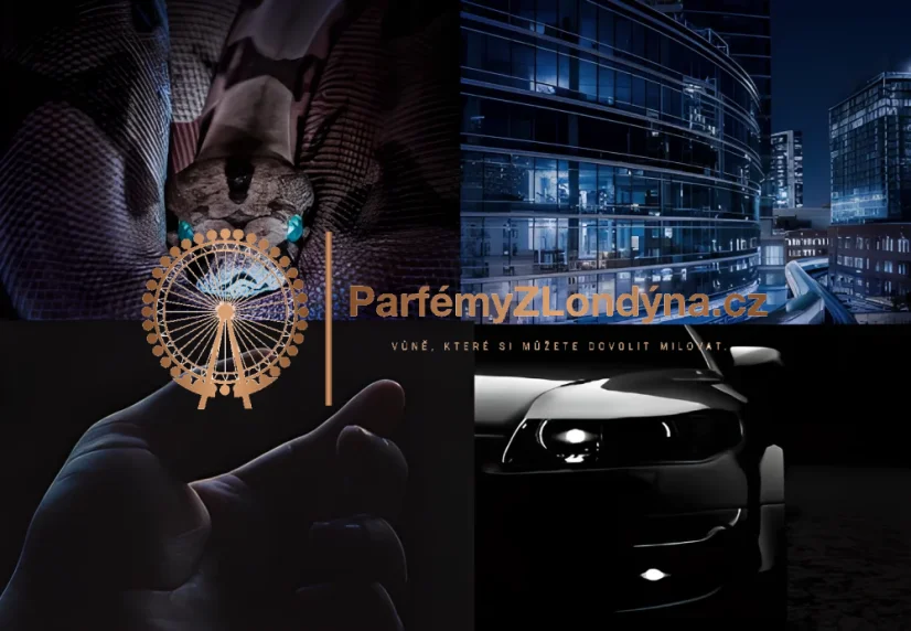 Bondage Temptation Hommes - Velikost: 50 ml