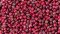 Co jsou to Pink Berries (růžové bobule)?