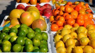 Vonné esence – Citrusy (historie)