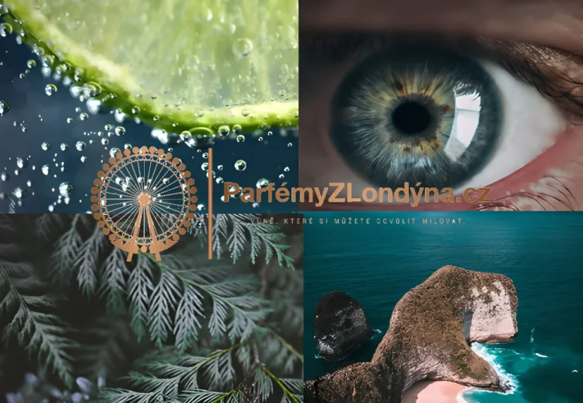 Essentials No. 1 - Velikost: 1 ml