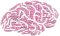Psychologie parfémů - Úvod